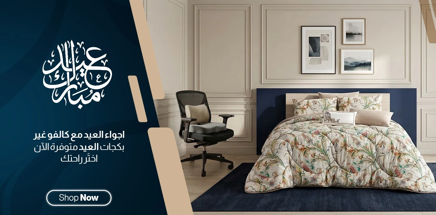 عرض شرائح section