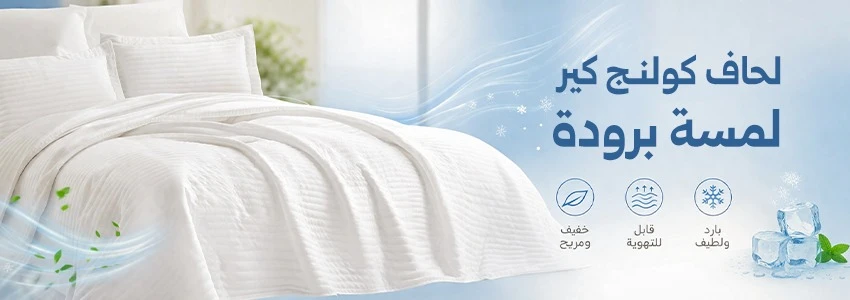 عرض شرائح section