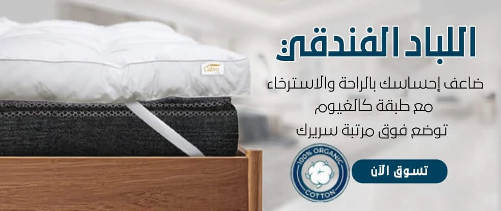 عرض شرائح section