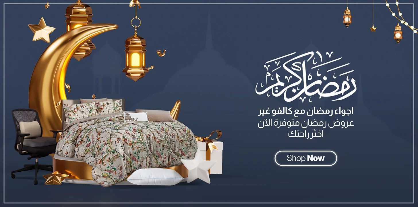 عرض شرائح section