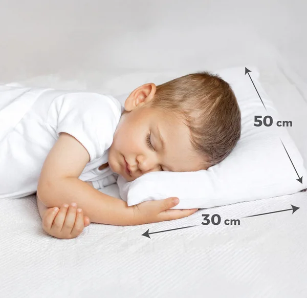 Alessa- مخدة أليسا القطنية للأطفال مقاس 30-50 ناعمة